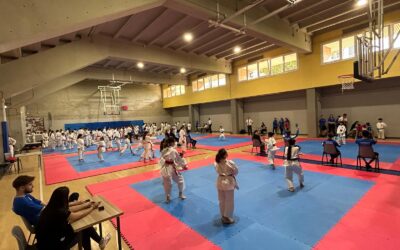 Resultados de la segunda jornada de la liga FAK de Kata y Kumite 2024